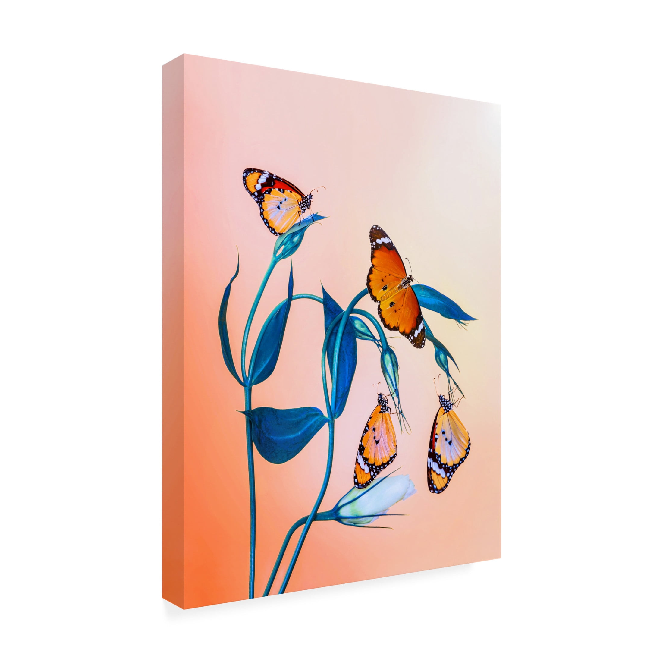Trademark Fine Art Mustafa ozturk Family Canvas Wall Art