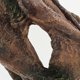 thumbnail image 3 of CRILSTYLEO De De Resina Con Hueco Para Acuario Beige Ideal Para Reptiles Y Anfibios, 3 of 6