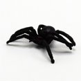thumbnail image 4 of Halloween Prank Prop Plastic Creative Realistic Prank Animal Creepy Bug Toy, 4 of 10