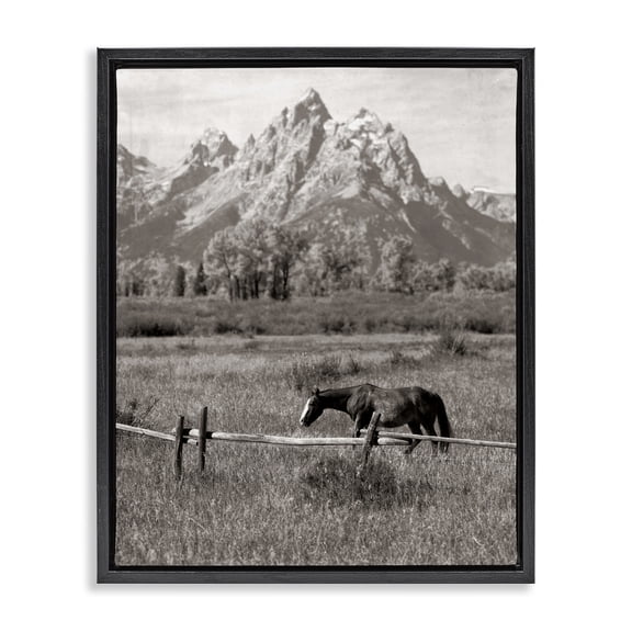 Stupell Industries Farmhouse Horse & Mountain Scenery Black Floating Frame Canvas Art, 17 x 21, by Daniel Sproul