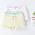 thumbnail image 3 of Little Girls' Cotton Brief Soft Cartoon Print Panty for 3-11 Years Old,2 Packs, 3 of 8