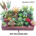 thumbnail image 2 of Succulent Plant DIY Simulation Mini Plastic Mini Plastic Plant; Artificial Artificial Plant Flower for Garden Home Decor Random Color Style, 16Pcs, 2 of 7