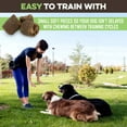 BRUTUS & BARNABY Training YPF5 Treats for Dogs Peanut Butter & Apple