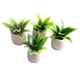 thumbnail image 1 of Plantas artificiales pequeñas miniatura decorativas Hugo Sago Cycas 4 piezas, 1 of 6