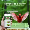 thumbnail image 2 of Comedero para pájaros Billber Outdoor Smart con cámara y panel solar, 2 of 7