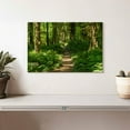 thumbnail image 2 of Elephant Stock Hoh Rainforest Path Wall Art - Horizontal Canvas Wall Art - Living Room Wall Decor - Nature Canvas - Green And Brown Decor - 12" x 8", 2 of 4