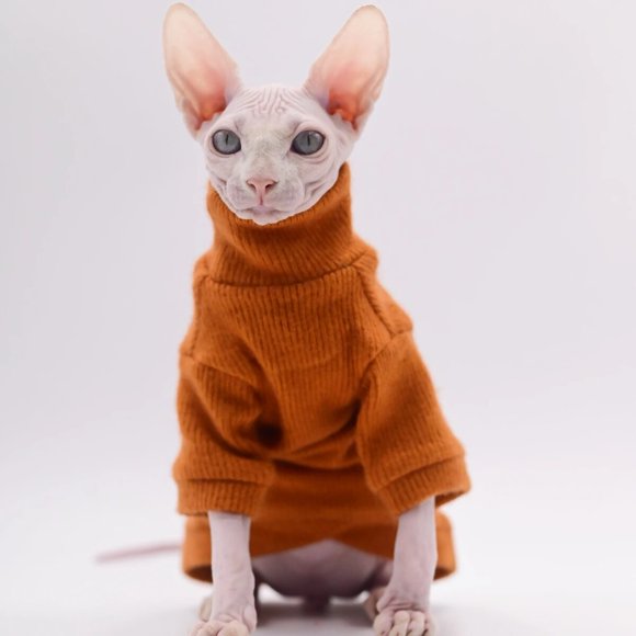 Vêtements pour Chat Sans Poils Doux et Chauds, Chandail à Capuchon pour Chat pour Sphynx, Devon Rex, Cornish, Peterbald