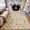 Color 1, variant on Gelasgo Vintage Floral Velvet Area Rug, Botanical Garden Decorative Carpet, Soft Indoor Floor Mat for Bedroom Living Room Dining Room Entryway Home Decor