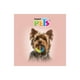 thumbnail image 2 of FANCY PETS JUGUETE ARO TRICOLOR P PERRO Fancy Pets ARO, 2 of 2