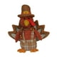 thumbnail image 1 of Muñeco de pavo de peluche para decoración de Acción de Gracias, divertido y lindo, para otoño Pararse, 1 of 9