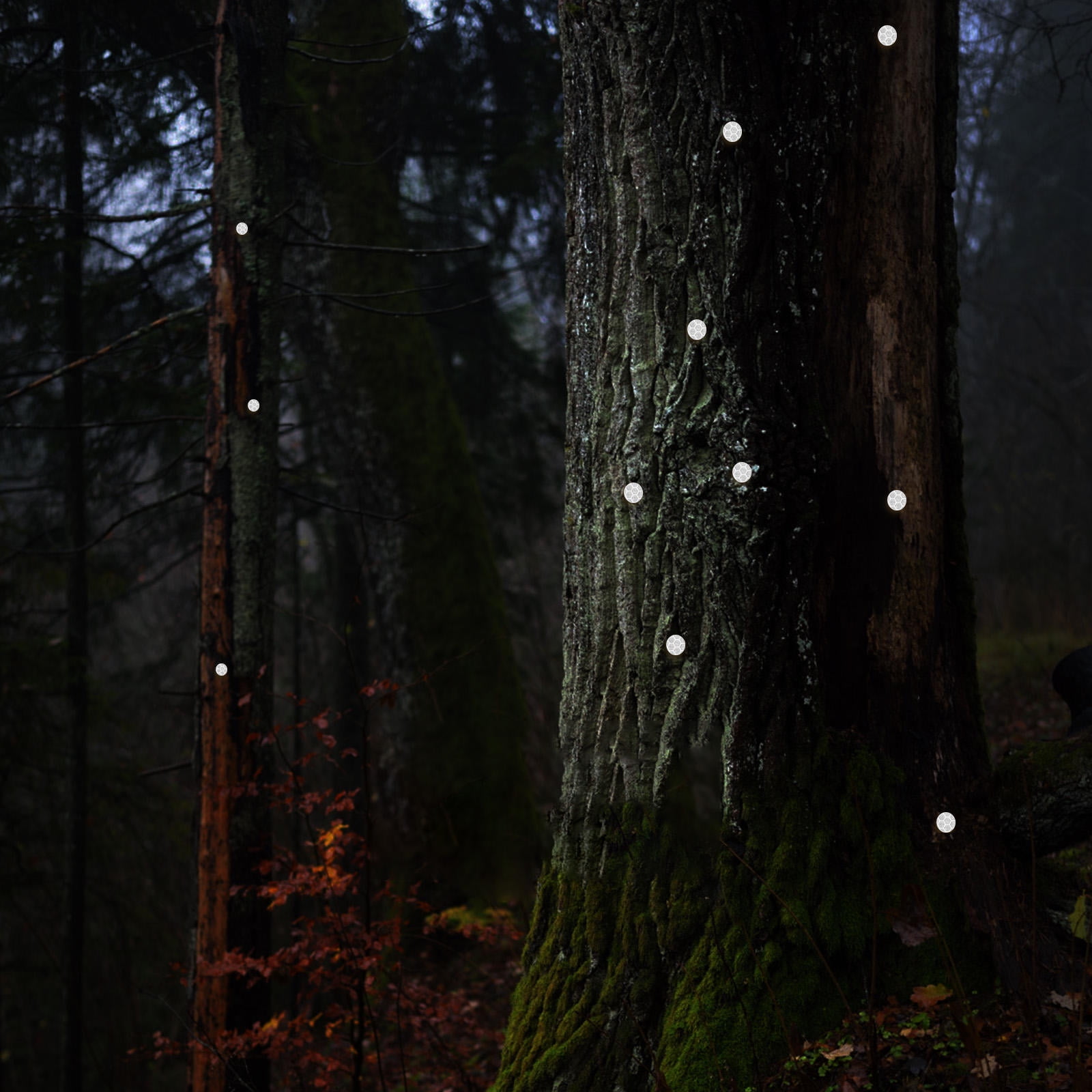 RENACLIPY 100-Pack Reflective for Hunting and Outdoor Use and High Visibility
