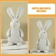 thumbnail image 4 of FELTECHELECTR Muñeco de peluche de conejo, adorno de conejo de Pascua para escritorio, decoración de conejo de Pascua, accesorio para fotos de Pascua, 4 of 7