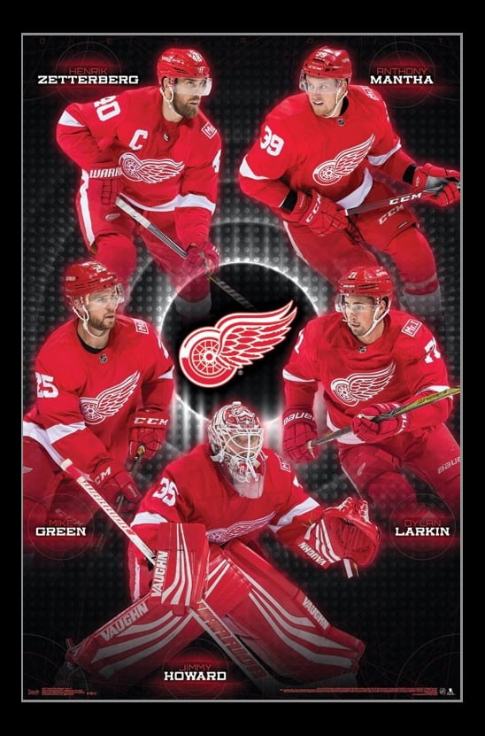Detroit Red Wings Team Laminated Poster Print (22 x 34)