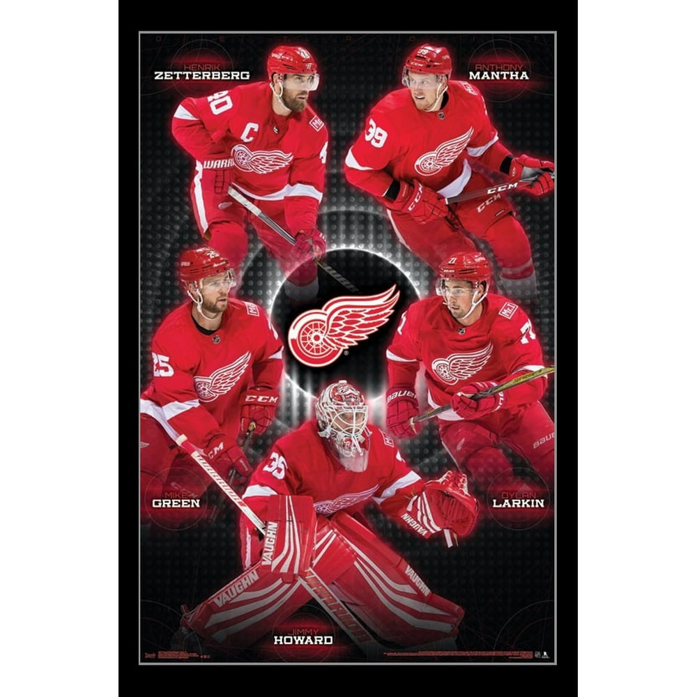 Detroit Red Wings Team Laminated Poster Print (22 x 34)