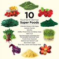 thumbnail image 3 of Suplemento Dr. Schulze's SuperFood Plus 414 mL sin gluten y vegano, 3 of 7