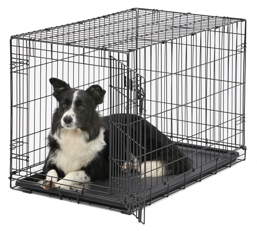 Photo 1 of MidWest Single Door iCrate Metal Dog Crate, 36"