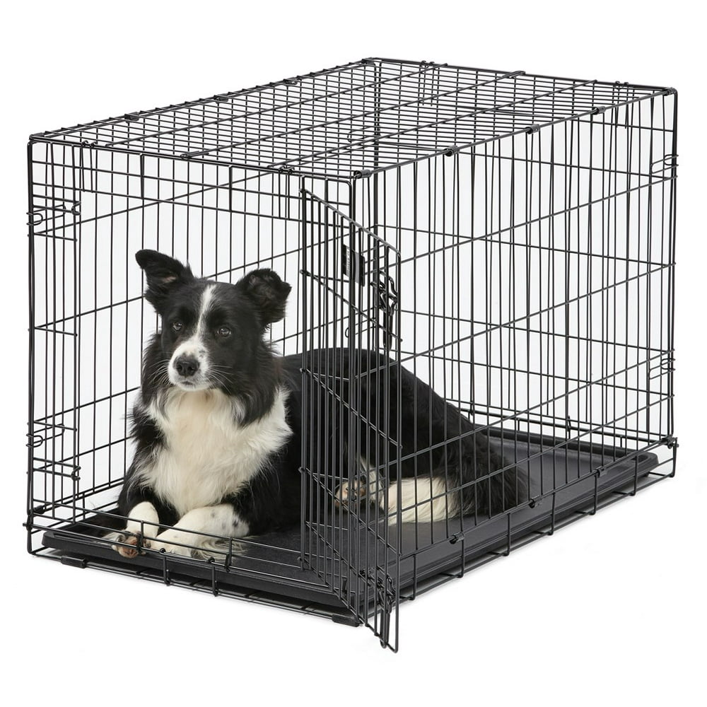 MidWest Single Door iCrate Metal Dog Crate, 36"