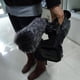 thumbnail image 5 of Micrófono De 2 Piezas Furry Windscreen Muff Wind Cover Parabrisas Para Afinadores De Música Conjunto De Recolección CUTICAT Mic Furry Windscreen Muff, 5 of 8