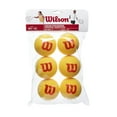 thumbnail image 1 of Pelotas de tenis WILSON Youth Starter Foam, paquete de 6 pelotas, 1 of 4