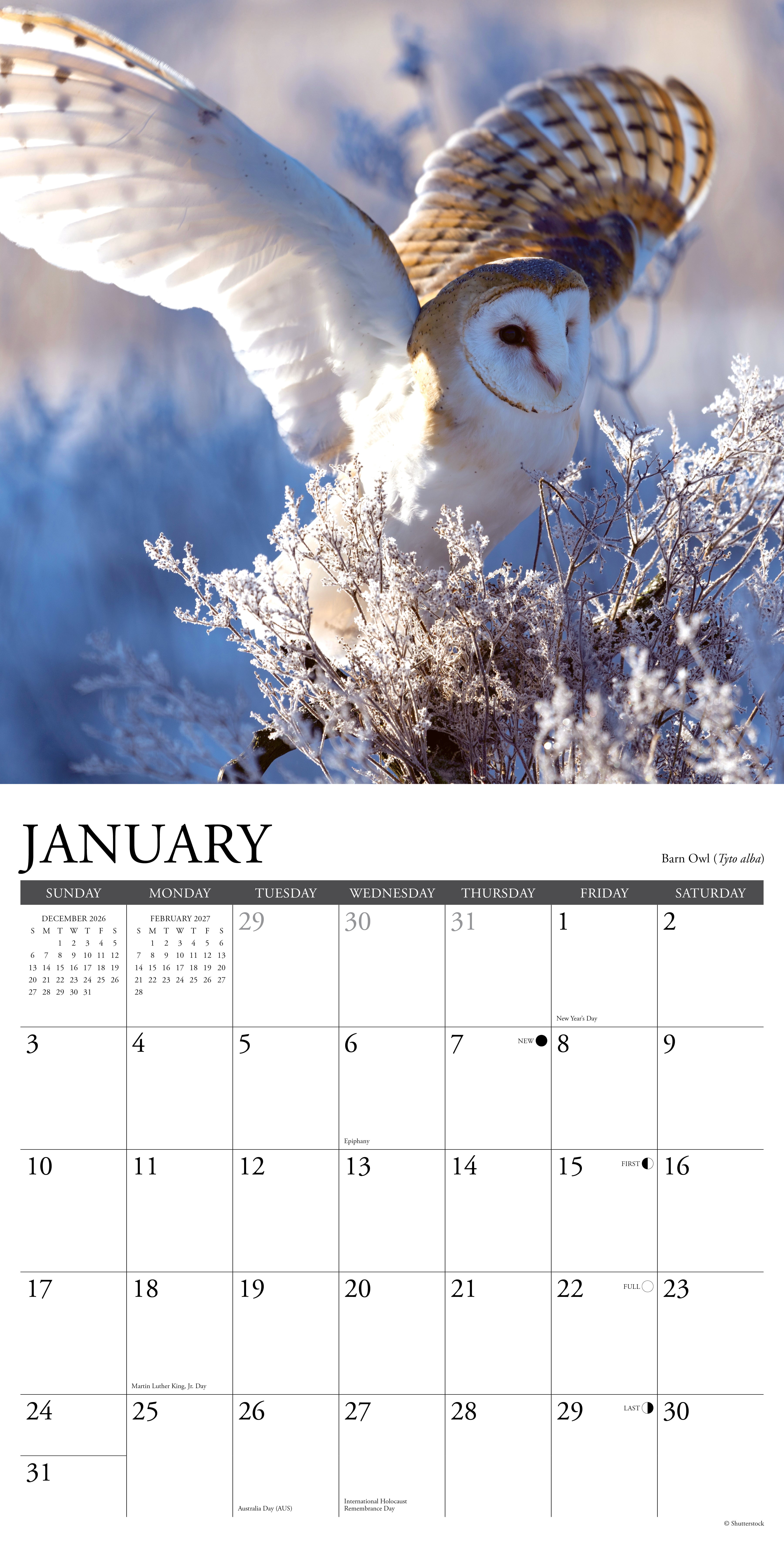 Willow Creek Press, Owls 2027 Wall Calendar