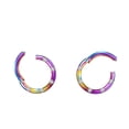 thumbnail image 1 of 2 piezas de acero sin costura con bisagras de nariz segmento pendiente Labret Septum 16G Sunnimix Anillo de nariz con bisagras sin costuras, 1 of 4