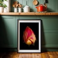 thumbnail image 6 of Washington Dew-Kissed Tulip - Photography Floral Flowers Nature Botanical Garden Black Framed Wall Art Print 16 x 24 inches, 6 of 8