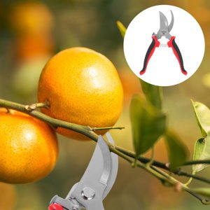 OULII Poignées d'élagage à main 1Pcs Outil de taille de jardin en acier inoxydable pour les arbres de taille