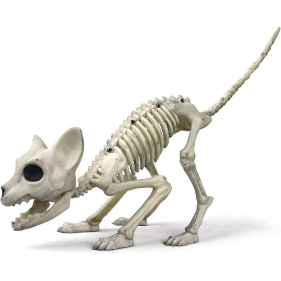 Skeleton Cat, Plastic Crouching and Sitting Cat Skeleton, Creepy Animal Bones for Halloween Decoration (Crouching)