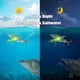 thumbnail image 1 of Señuelos de pesca eléctricos robóticos para nadar, señuelos recargables por USB, señuelos de natación multiarticulados con luz LED, señuelos duros, aparejos de pesca, 1 of 8