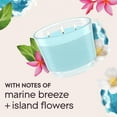 thumbnail image 5 of Glade 3-Wick Candle, Aqua Waves, 6.8 oz, Pack of 3, 5 of 6