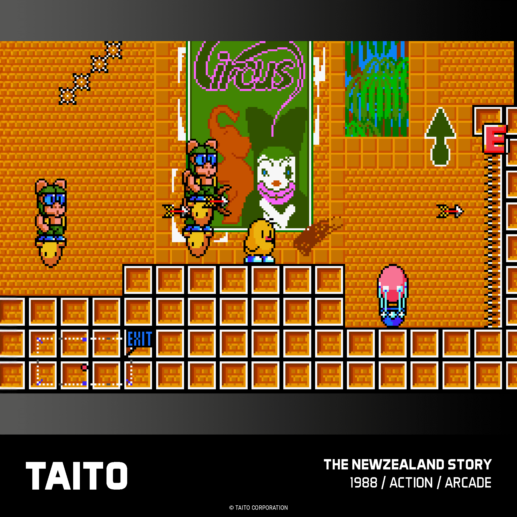 TAITO ARCADE 2 POUR L’EVERCADE