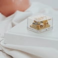thumbnail image 2 of IFANLANDOR 1Pc Golden Acrylic Plastic Hand-cranked Music Box for DIY Lovers and Home Decor, 2 of 8