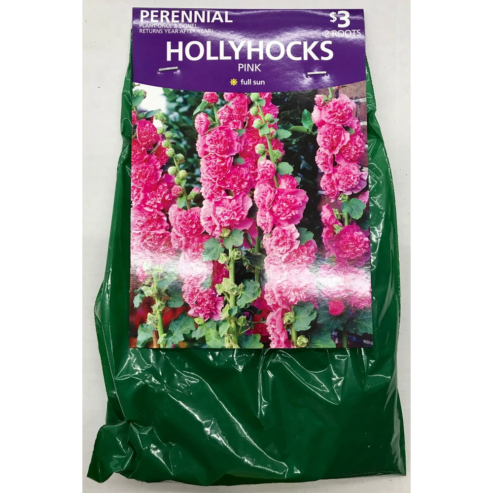 Van Zyverden - Hollyhocks Pink - Dormant Bare Root ...