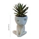 thumbnail image 2 of Maceta luminosa con cara, bonita maceta suculenta de resina para decoración del hogar y la oficina, 2 of 7