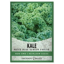 Vates Blue Curled Scotch Kale Seeds