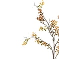 thumbnail image 5 of My Texas House Fall Faux Coriaria Stem, Multicolor, 30", 5 of 5