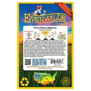 Everwilde Farms - 500 Petite Mix French Marigold Garden Flower Seeds - Gold Vault Jumbo Bulk Seed Packet