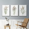 thumbnail image 4 of Dainty Botanical I - Framed Premium Gallery Wrapped Canvas L Frame 3 Piece Set - Ready to Hang, 4 of 4