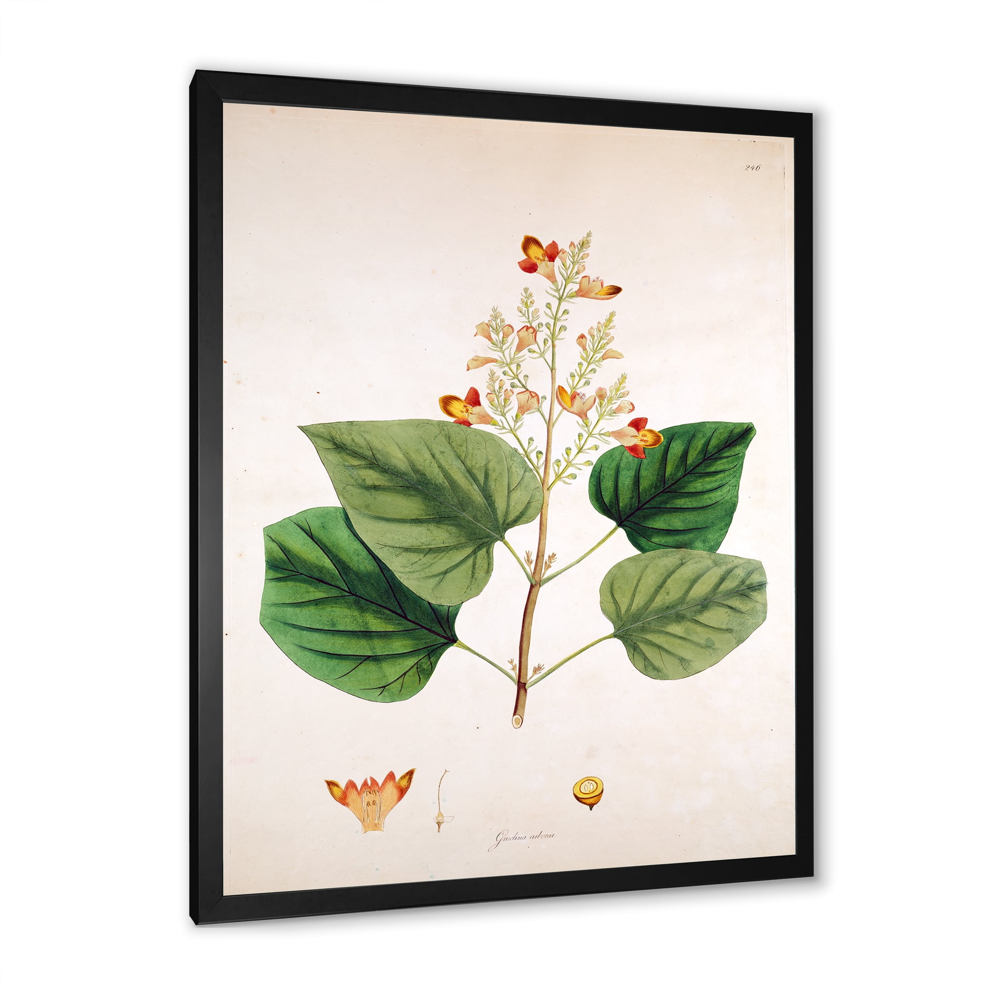 Designart 'Ancient London Plants XII' Farmhouse Framed Art Print