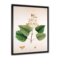 thumbnail image 2 of Designart 'Ancient London Plants XII' Farmhouse Framed Art Print, 2 of 4