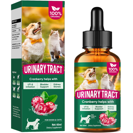 Dog Urinary Tract Infection Treatment