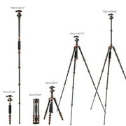 K&F CONCEPT Carbon Fiber Travel Tripod for DSLR Camera, Monopod, 360° Ball Head, 17.6lbs Load Capacity