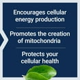 thumbnail image 4 of Life Extension Mitochondrial Energy Optimizer with PQQ - Energy Supplement for Healthy Mitochondria - With Taurine, Vitamin B, Pyrroloquinoline Quinone - Gluten-Free - 120 Capsules, 4 of 11