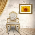 thumbnail image 3 of Rotenberg, Nancy 14x11 Gold Ornate Wood Framed with Double Matting Museum Art Print Titled - OR, Shore Acres Gardens, Yellow dahlia backlight, 3 of 4