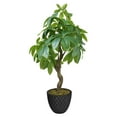 thumbnail image 1 of 33.6 in. Pachira Aquat Real Touch in Fiberstone Planter, 1 of 2
