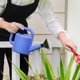 thumbnail image 2 of 2 regaderas con cabezal de rosa, rociador de agua universal de plástico para jardín, boquilla de repuesto para la mayoría de las regaderas, 2 of 8