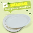 thumbnail image 2 of 12 In Compostable Plate, Natural Cashew Nuts (sugarcane Fiber), Daily Tableware - Disposable - Oval Shaped - Suitable for Microwave Heating - Gluten Free, 2 of 7