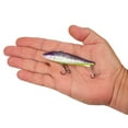 thumbnail image 4 of Berkley Ripfish, 9, Purple Slime, 4 of 5