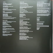 The Last Shadow Puppets - Everything Youve Come to Expect - Music & Performance - Vinyl