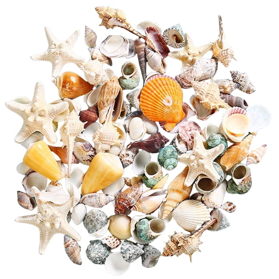 Mixed Sea Shells Topboutique Beach Conch Seashells Starfish Ocean Seashells Sea Shell Mixed Ocean Shells Set for Fish Tank Vase Fillers DIY Crafts Beach Theme Party Wedding Decor